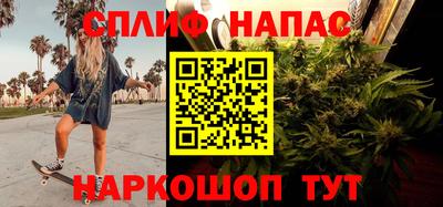 СК Нальчик